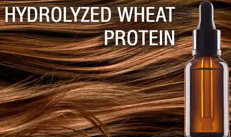 Hydrolyzed Wheat Protein Powder in Hair Formulations: Functional Properties and Performance